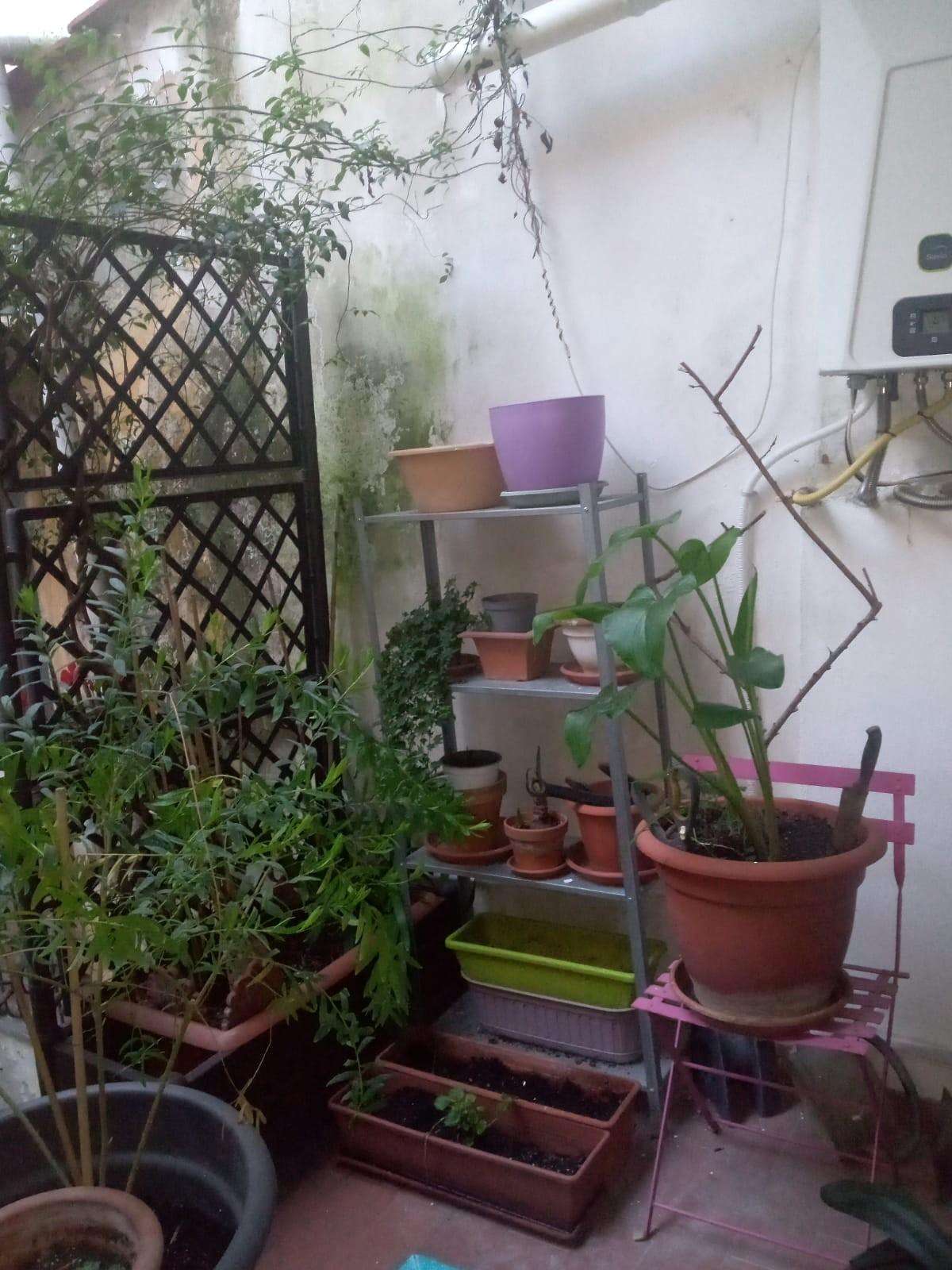  - foto 31