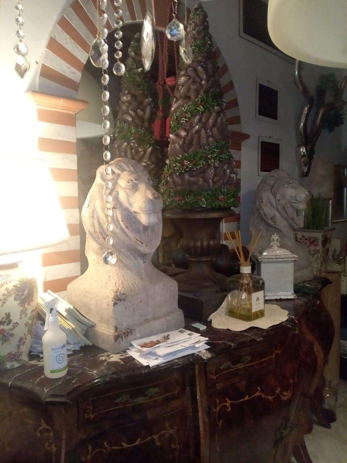  - foto 4