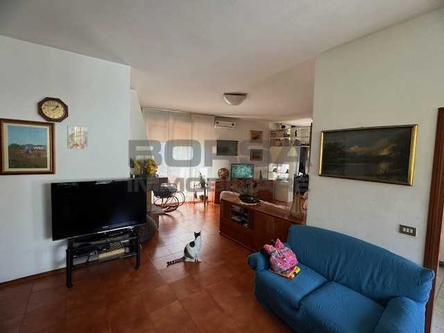  - foto 11