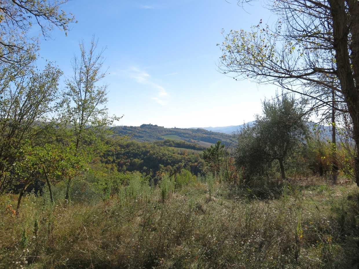  - foto 4
