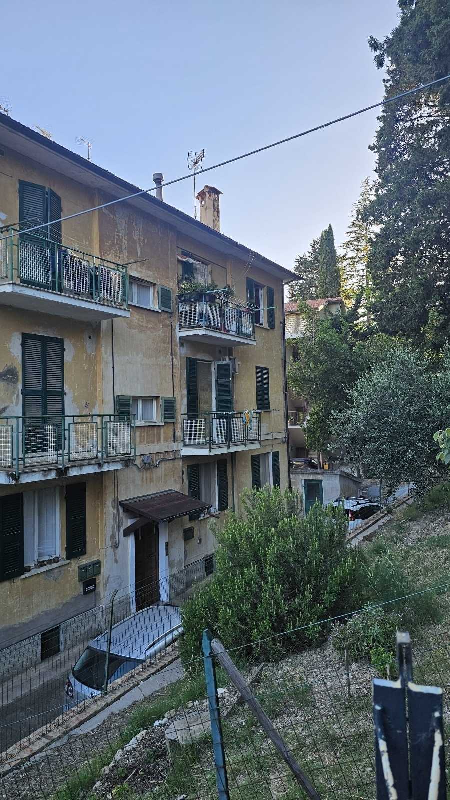 immagine annuncio 4 di 13