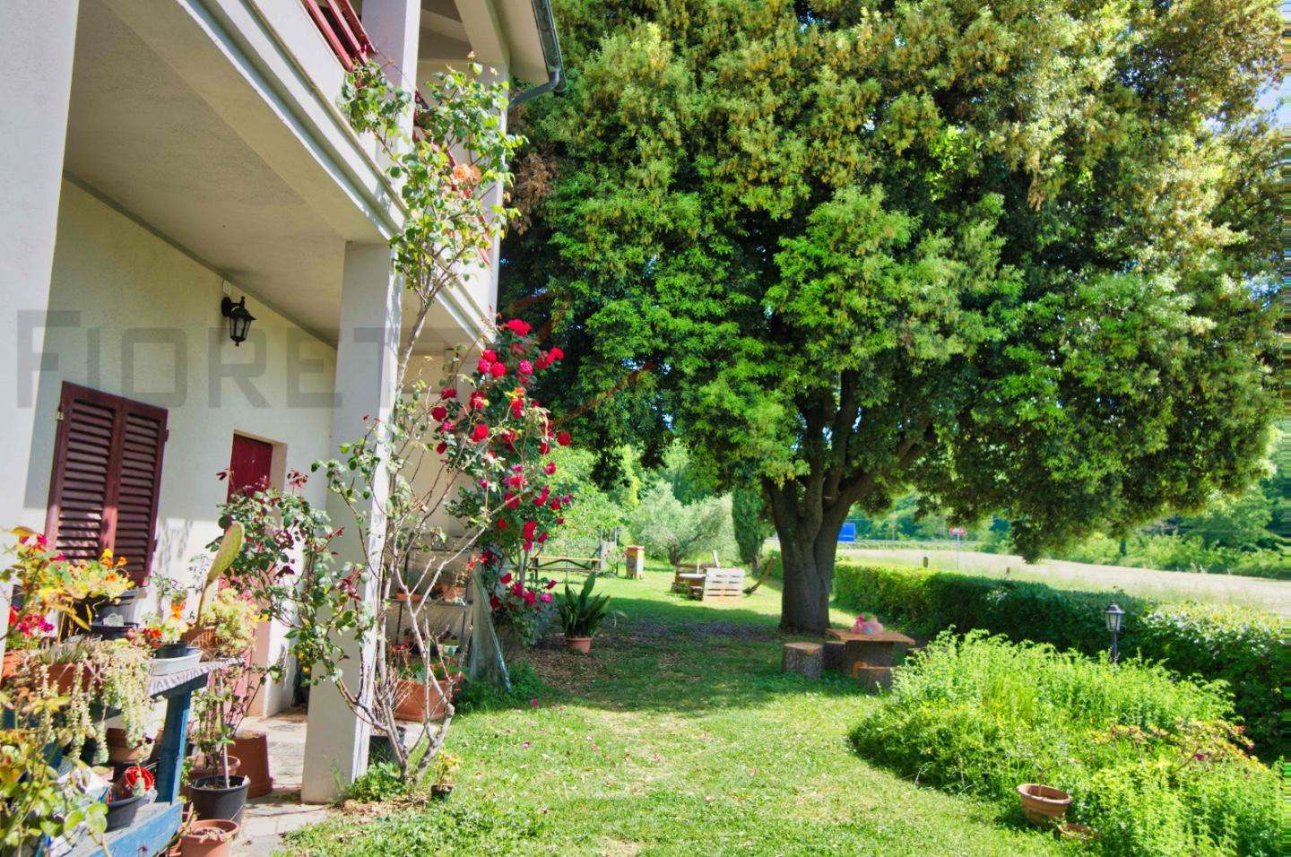  - foto 45