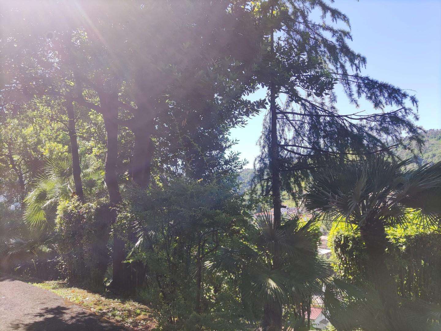  - foto 16