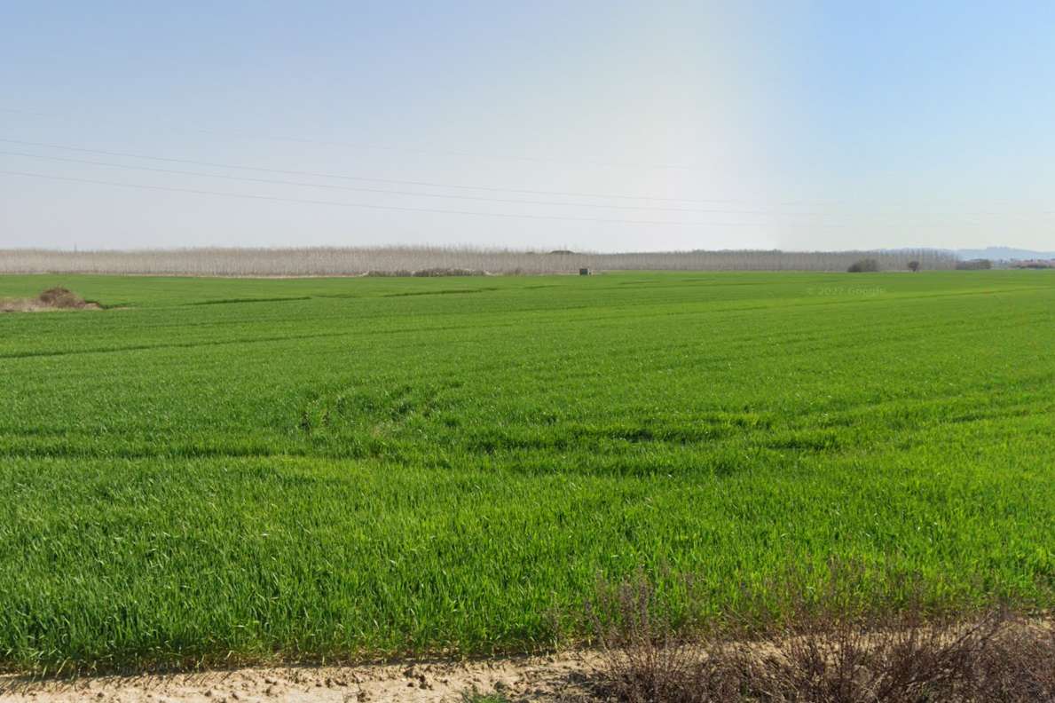 Terreno industriale Toscana, Casciana Terme Lari