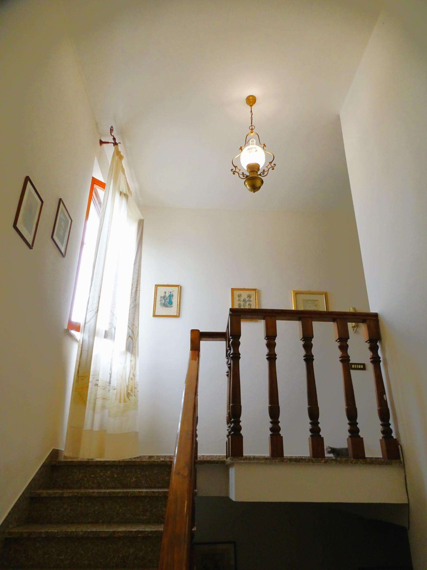  - foto 15