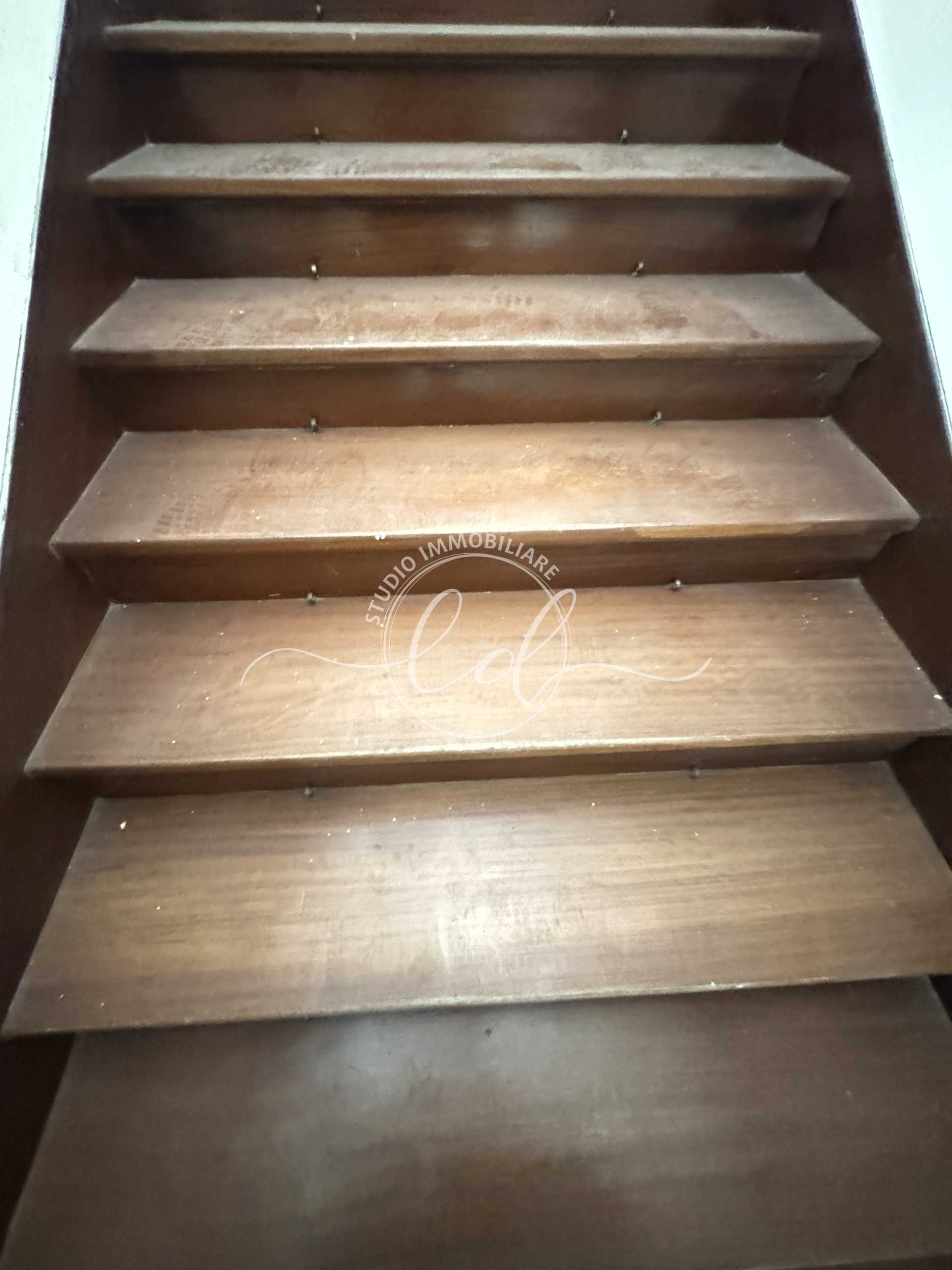  - foto 21