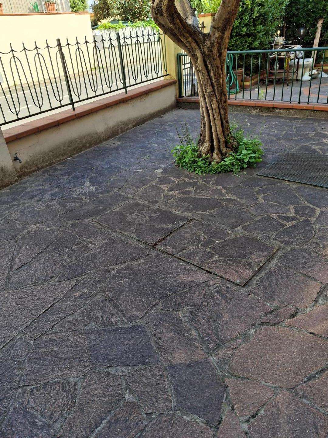  - foto 2