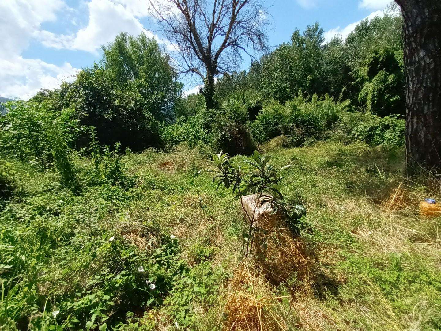  - foto 4