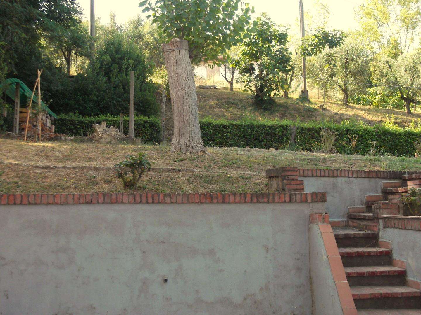 - foto 14