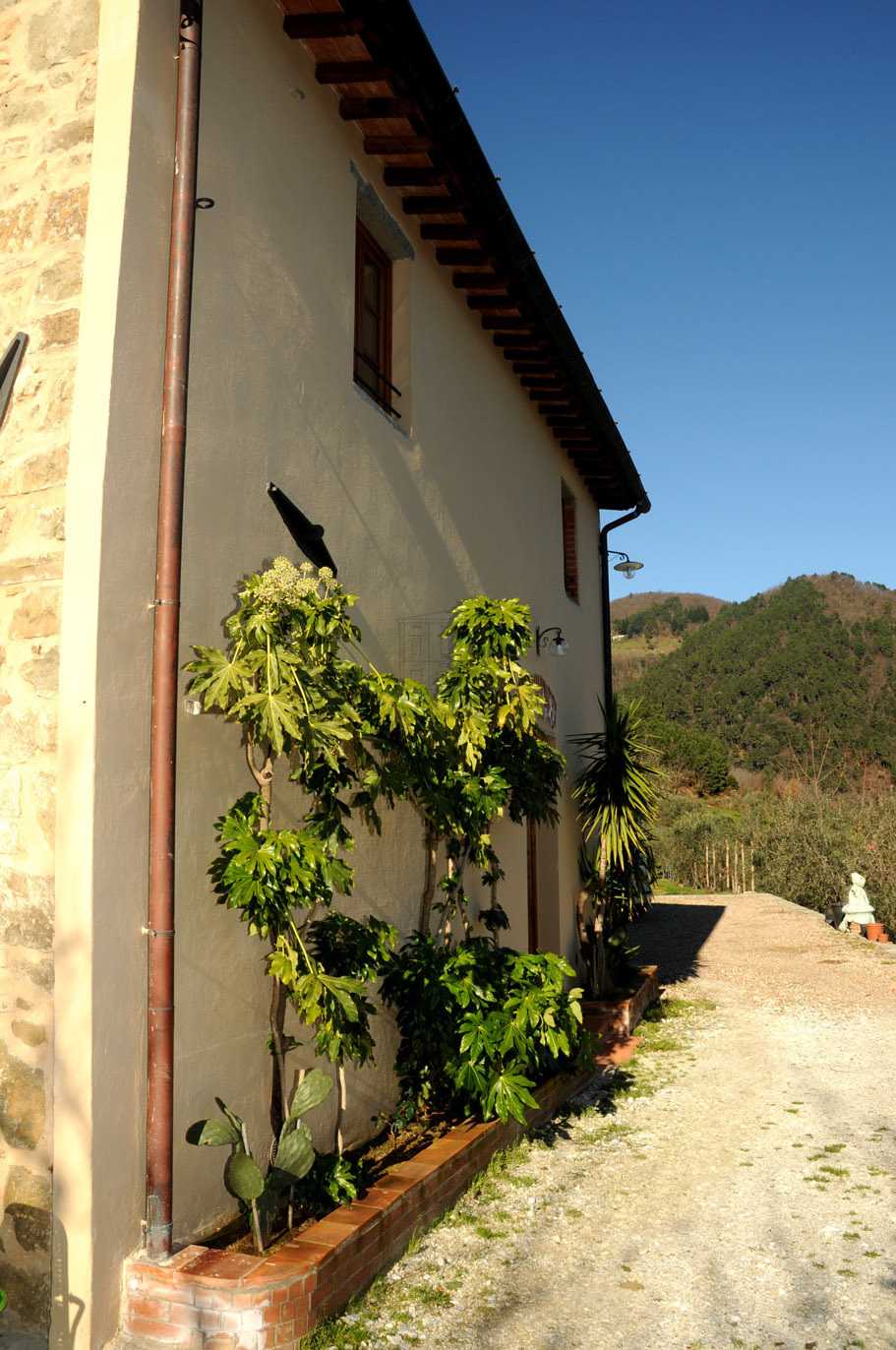  - foto 31