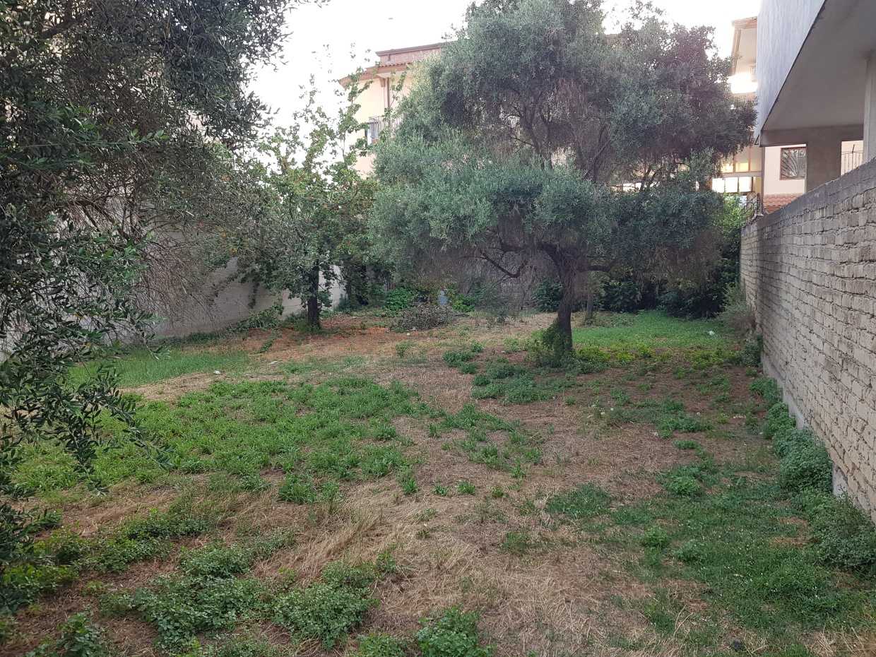 immagine annuncio 2 di 8