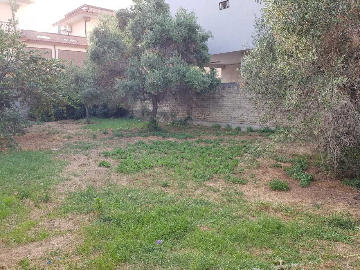 immagine annuncio 3 di 8