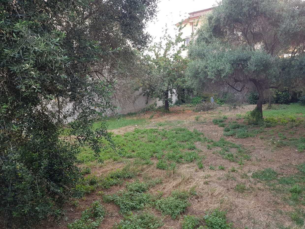 immagine annuncio 4 di 8