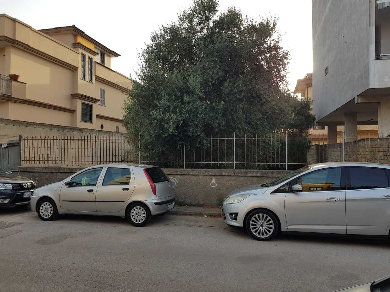 immagine annuncio 7 di 8