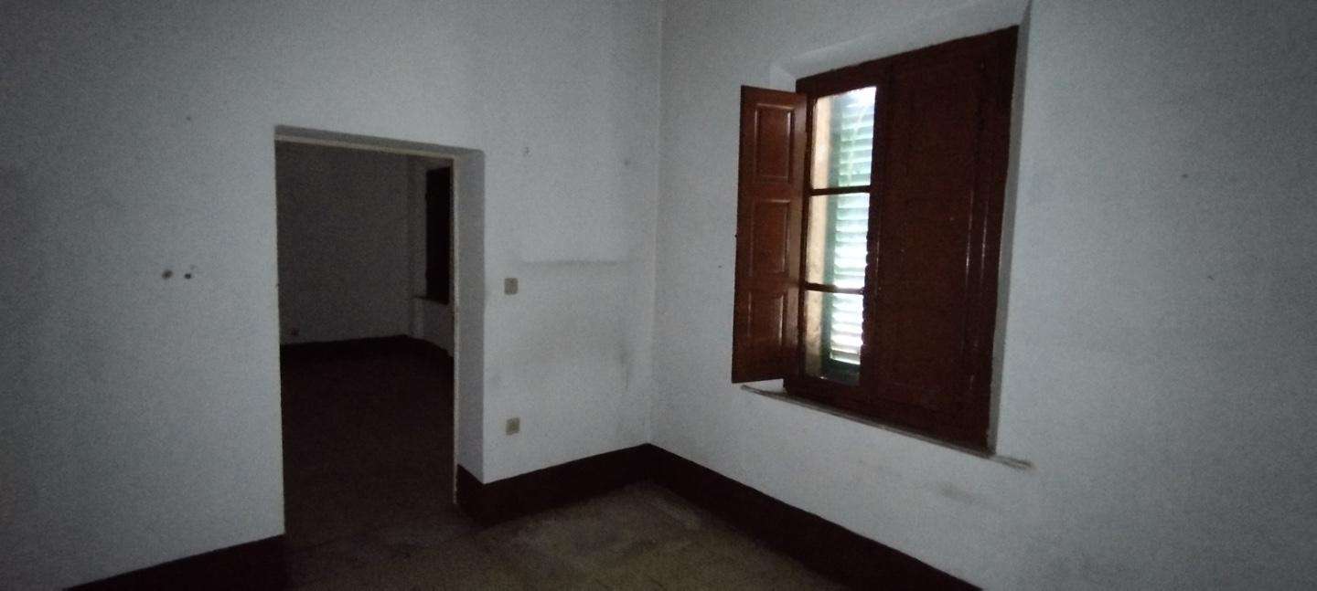  - foto 13