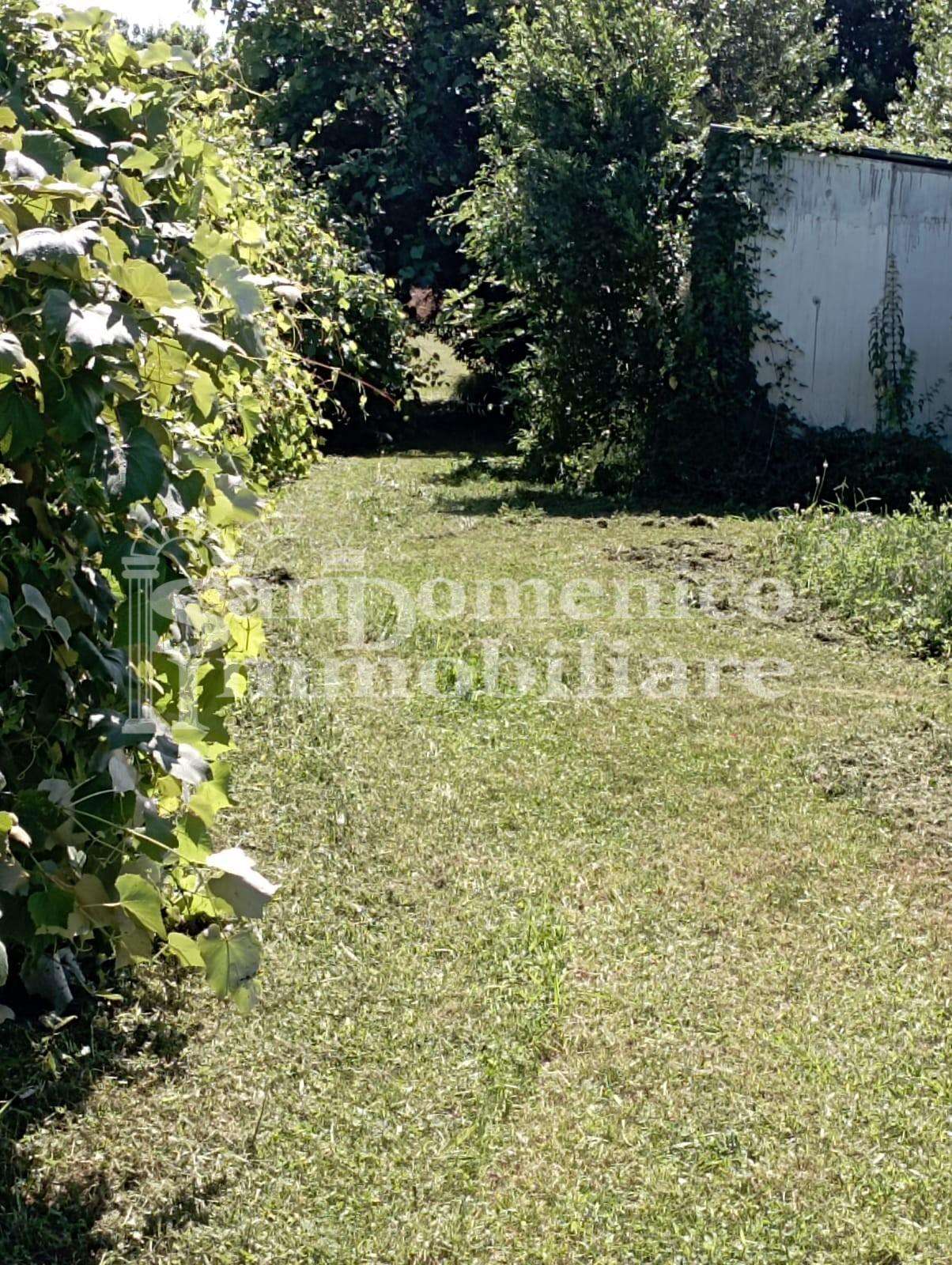 - foto 4