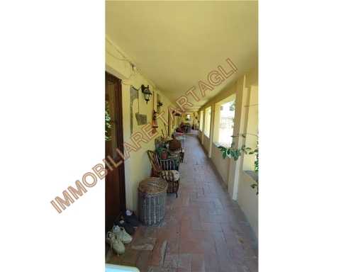  - foto 26