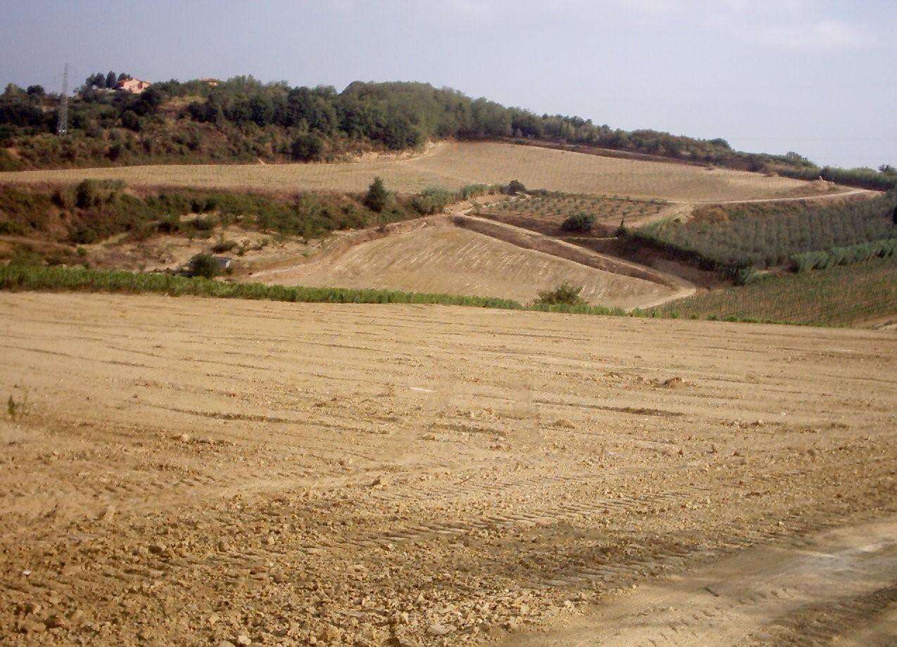 Terreno agricolo Via Francesco Petrarca,, Casciana Terme Lari
