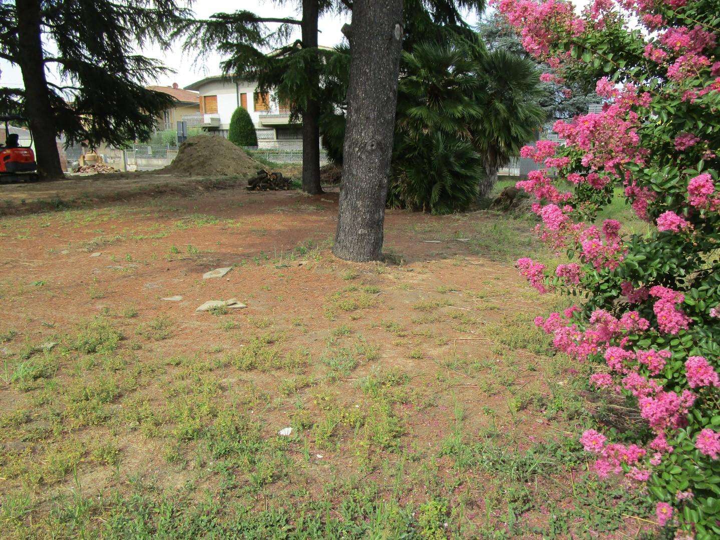  - foto 5