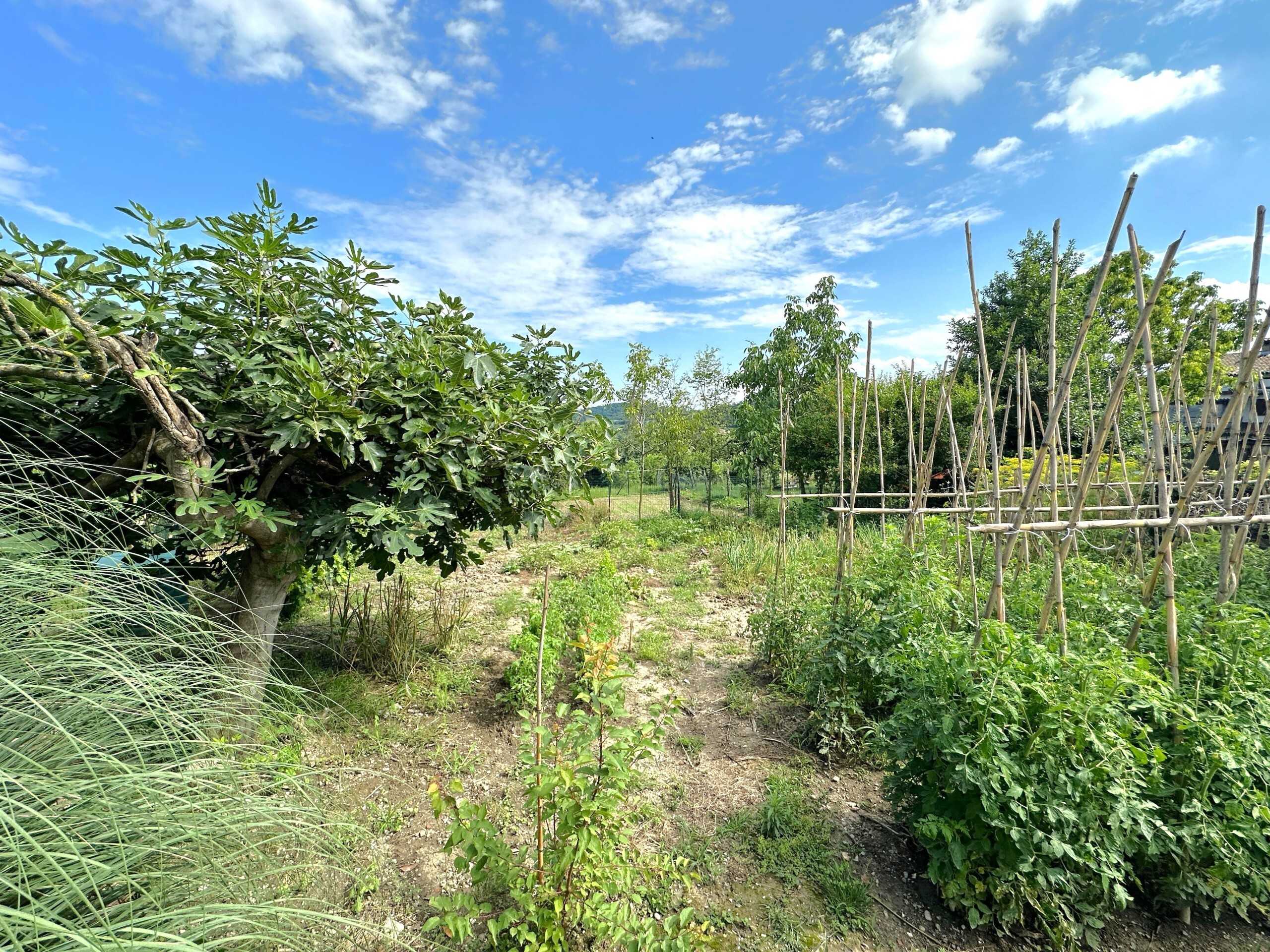  - foto 23