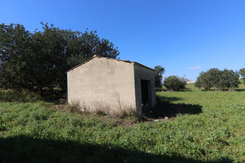  - foto 41