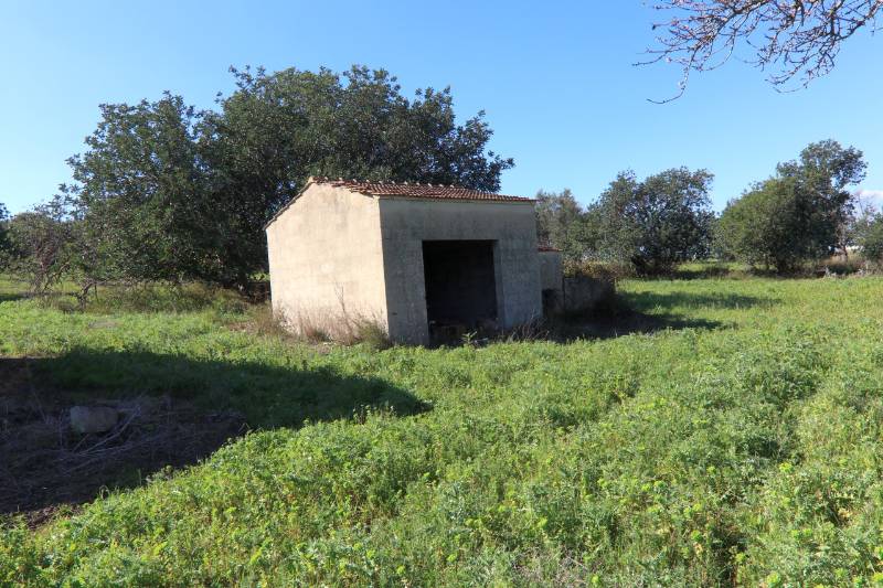  - foto 42