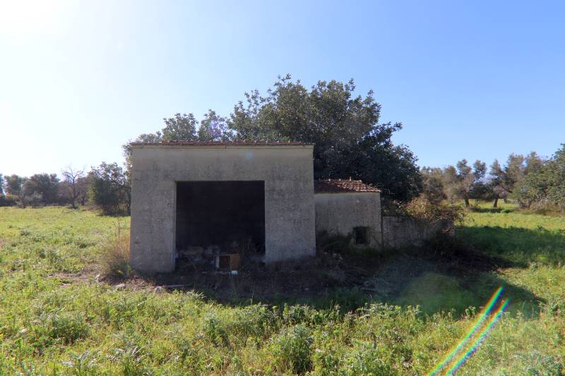  - foto 43