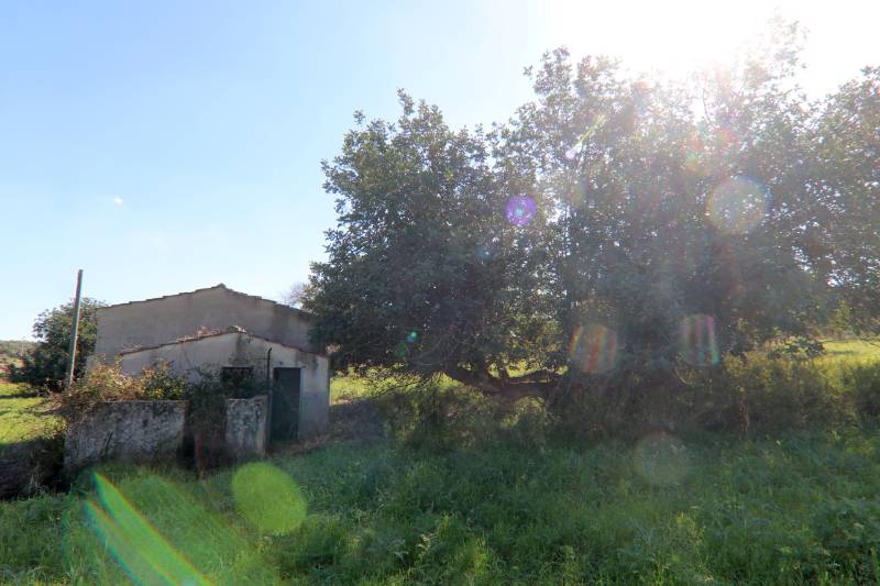  - foto 9