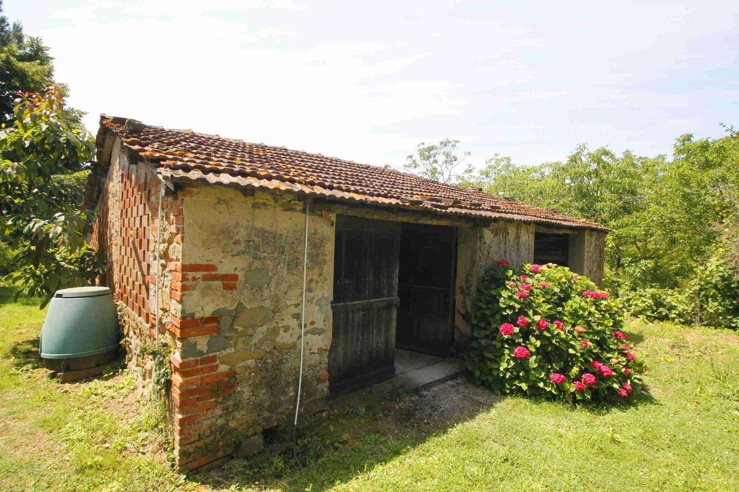  - foto 8