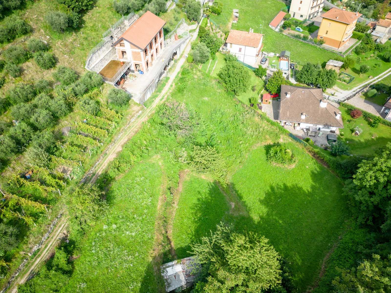 immagine annuncio 4 di 9