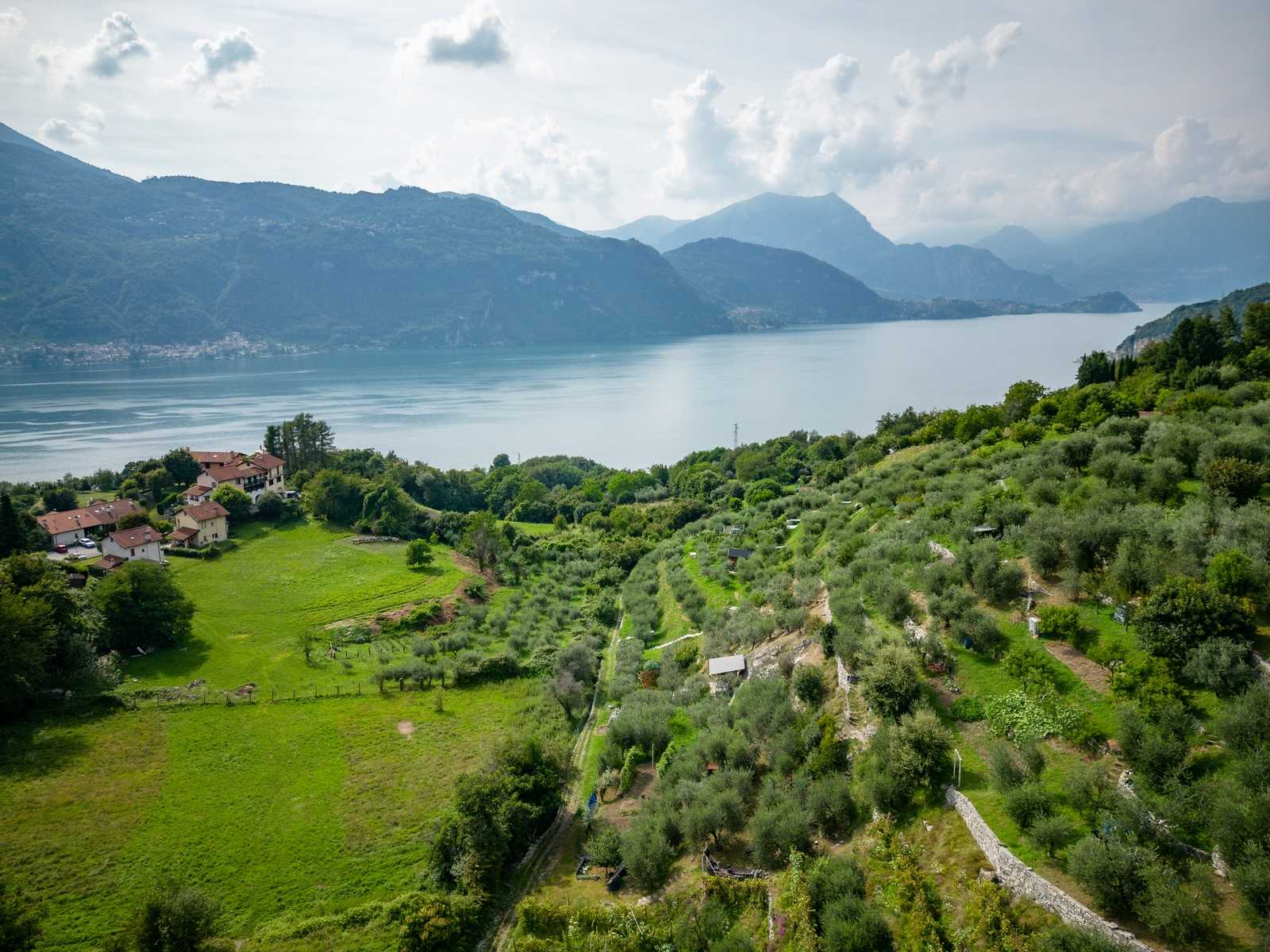 immagine annuncio 7 di 9