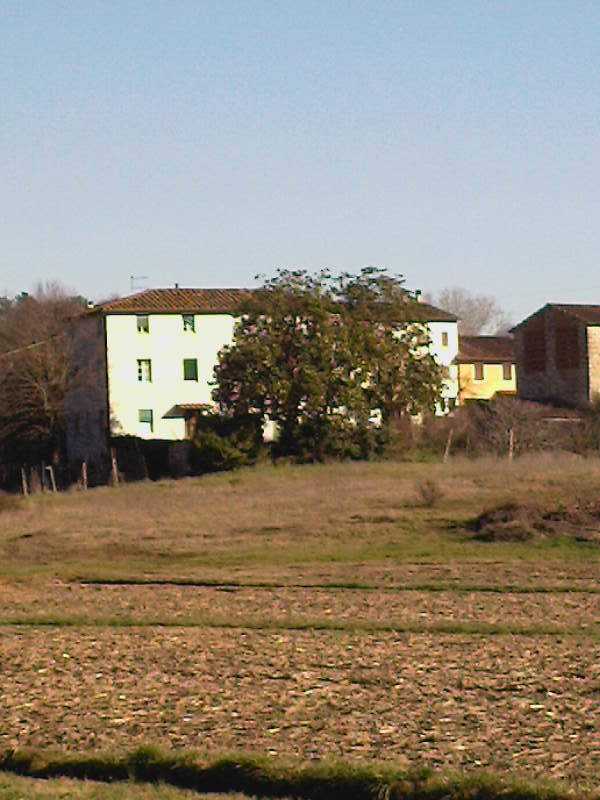  - foto 14