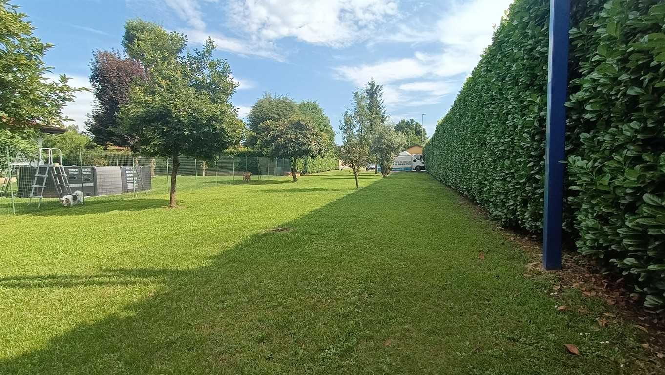 immagine annuncio 9 di 11