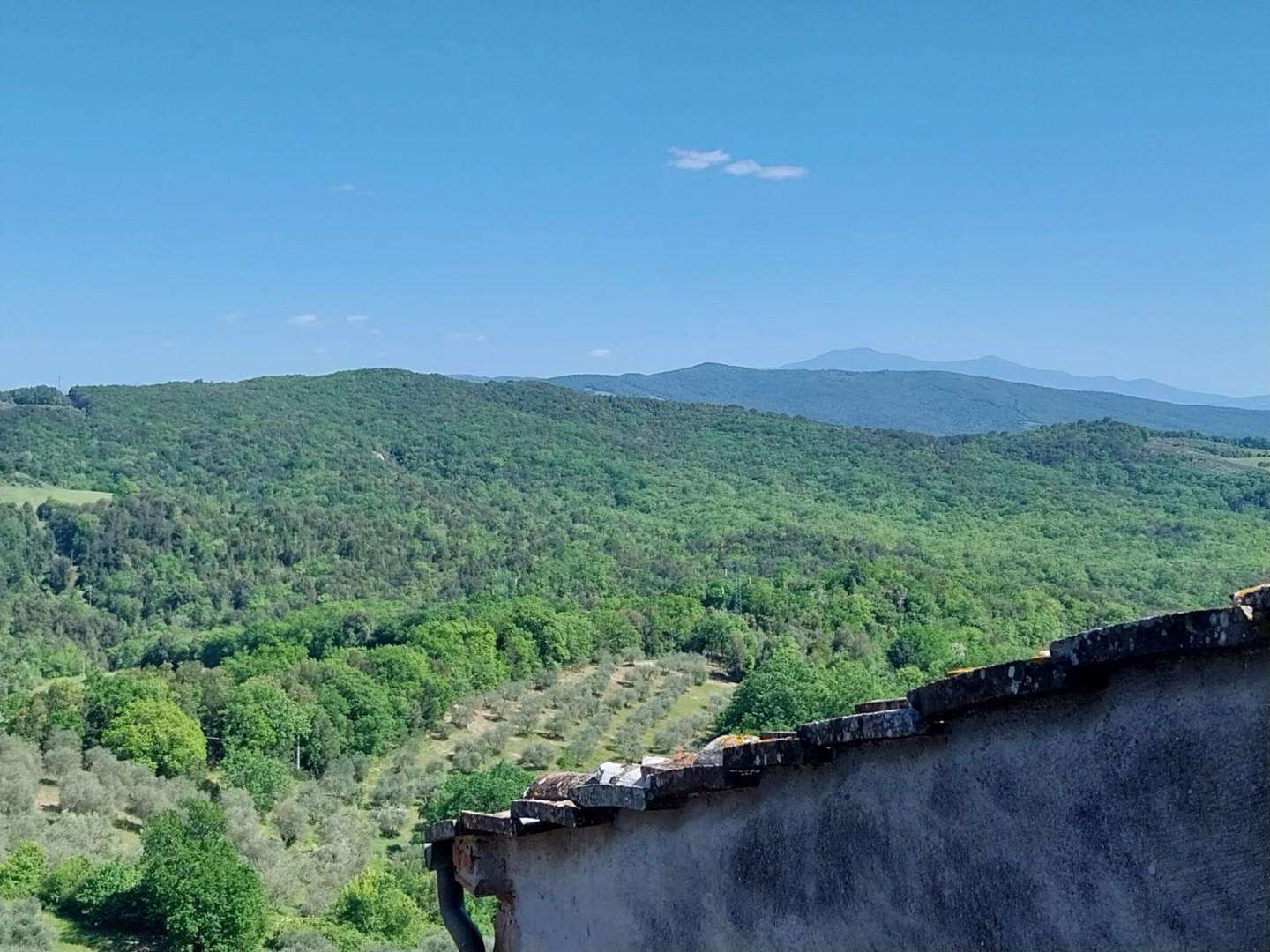  - foto 49