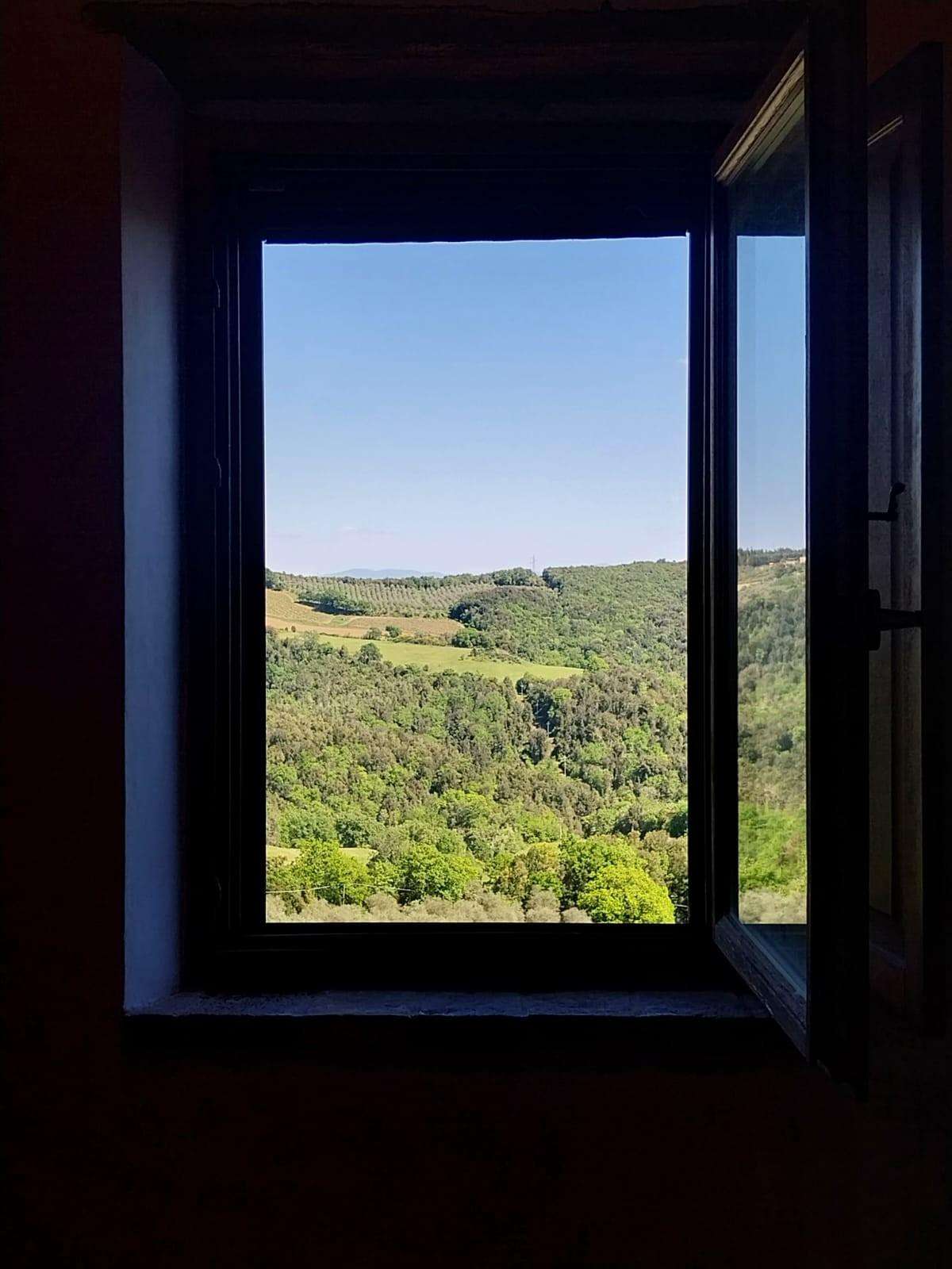  - foto 51