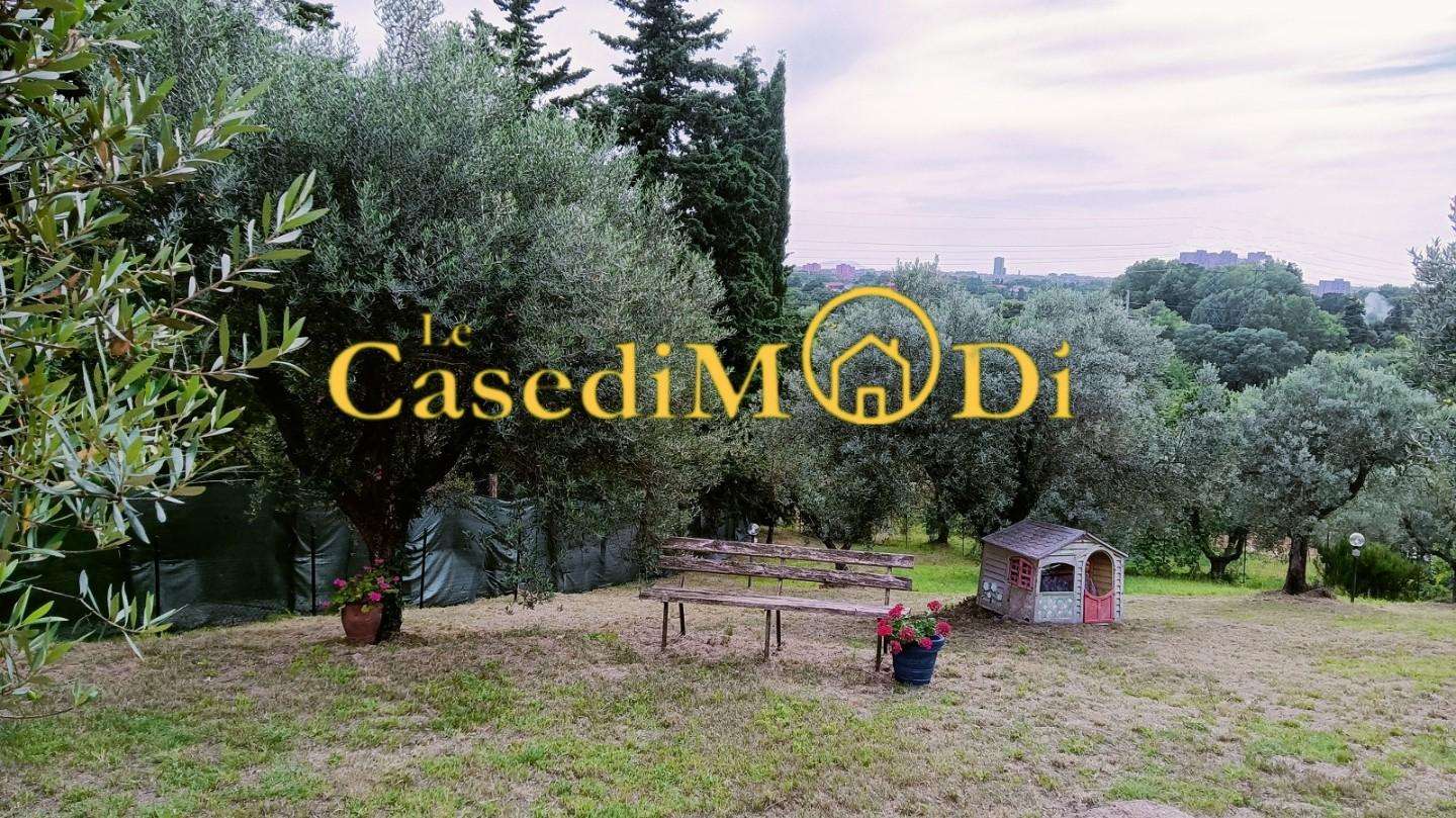 - foto 4