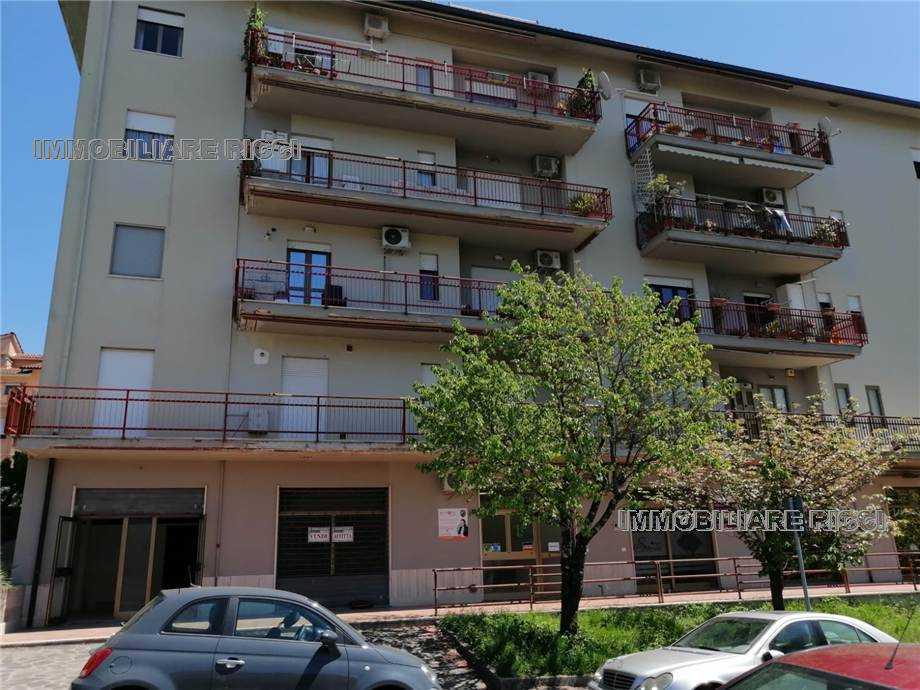 Attività  commerciale, Pontecorvo