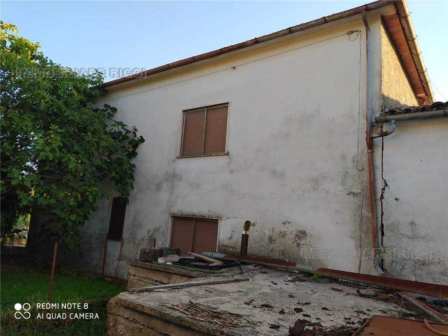  - foto 2