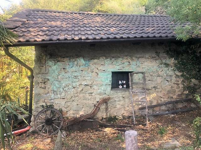  - foto 19