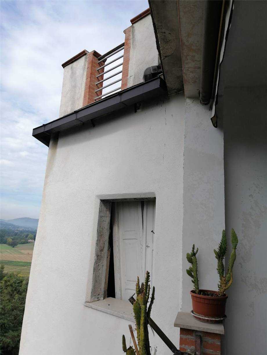  - foto 7