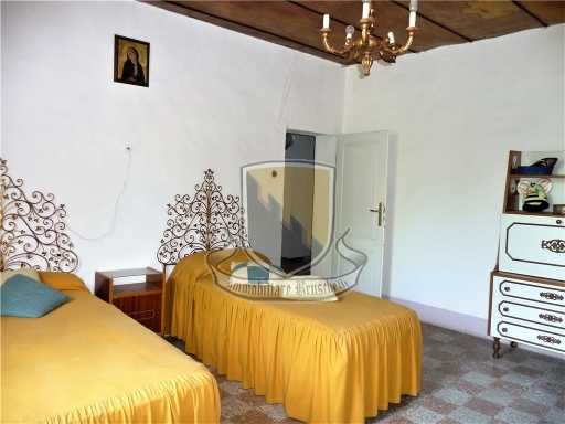  - foto 21