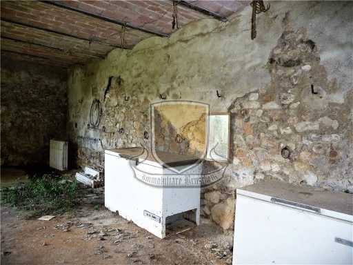  - foto 26