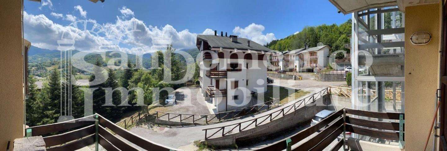 immagine annuncio 4 di 13