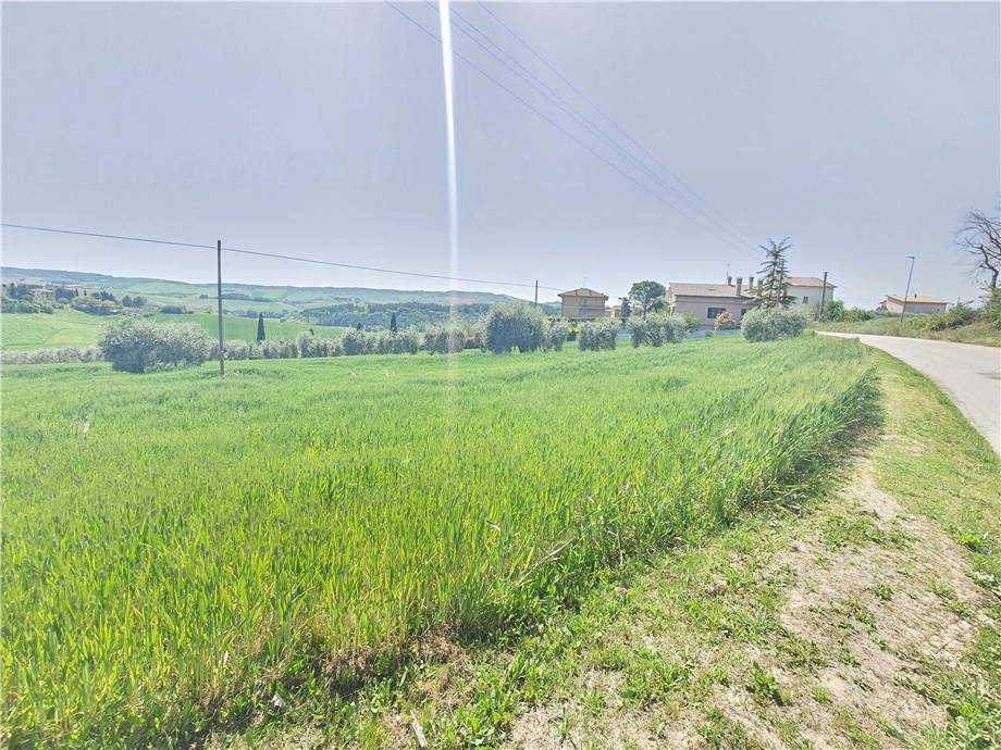  - foto 11
