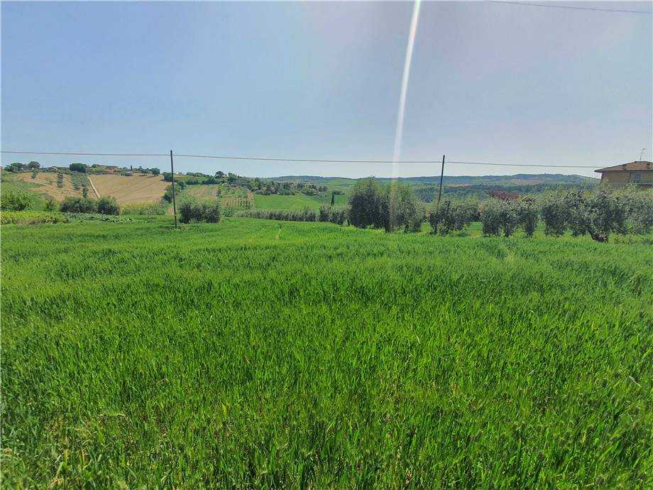  - foto 25