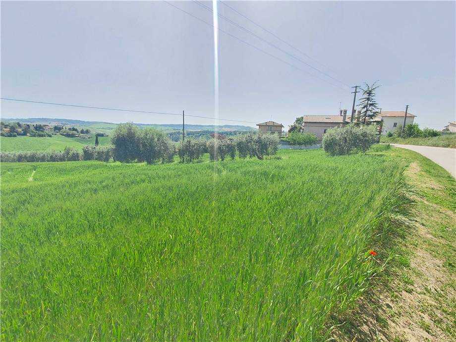  - foto 7