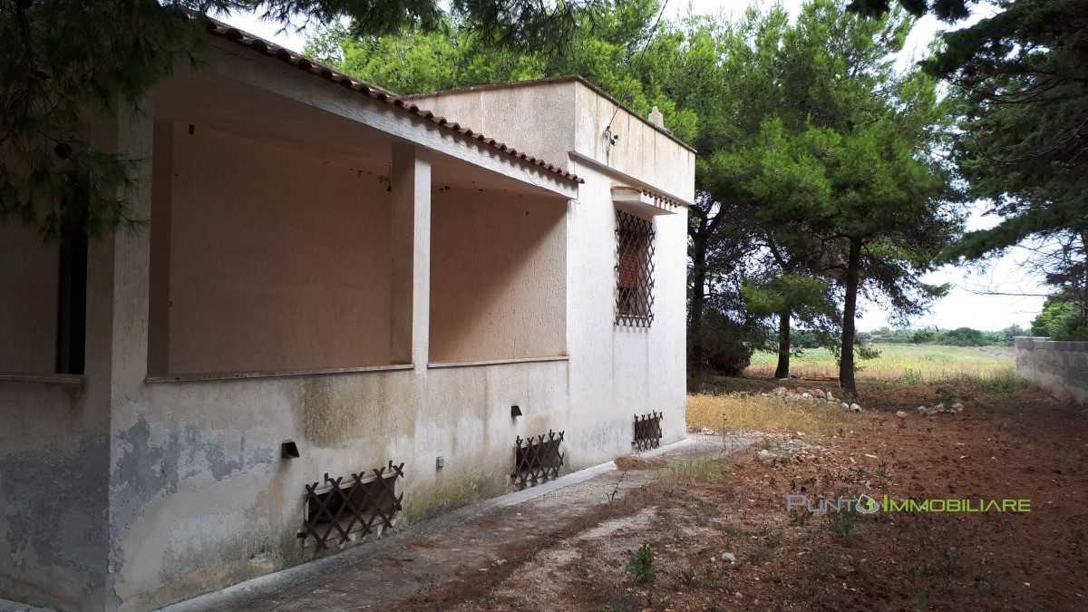  - foto 6