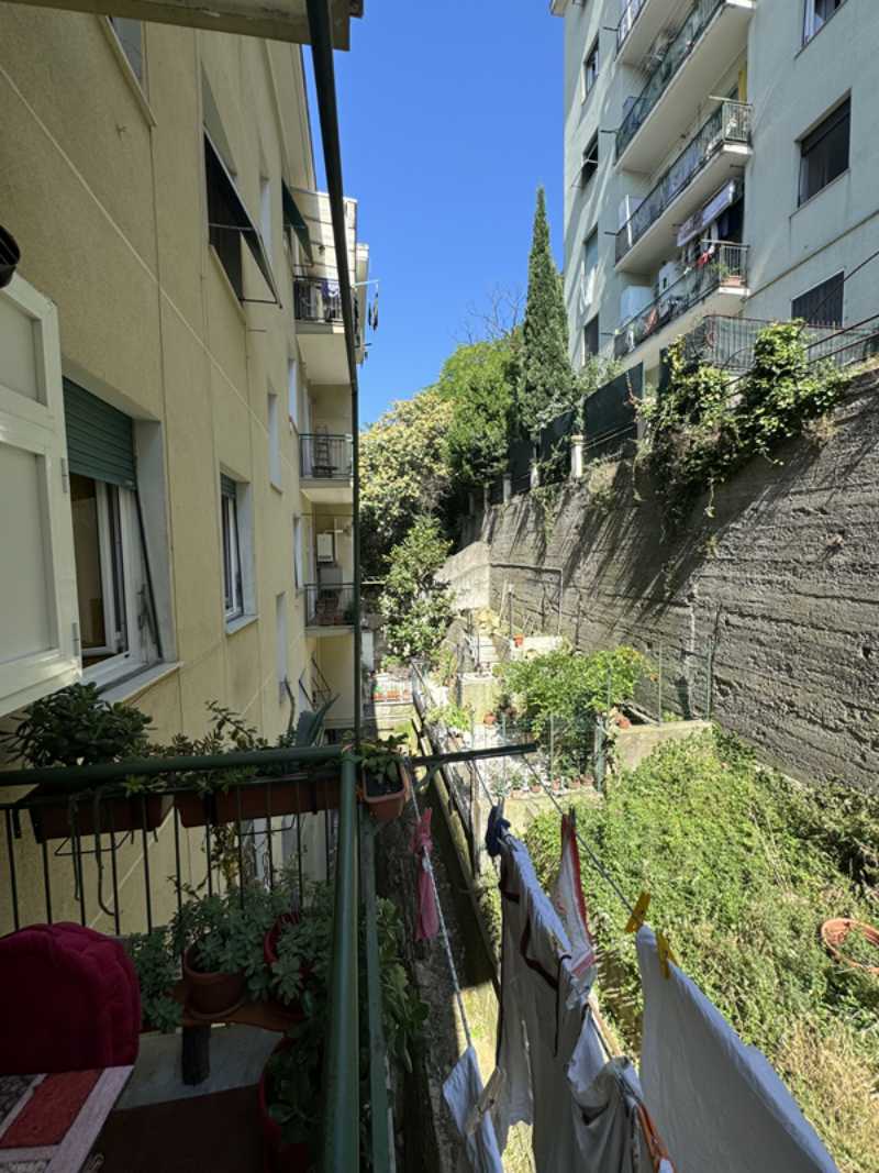  - foto 18