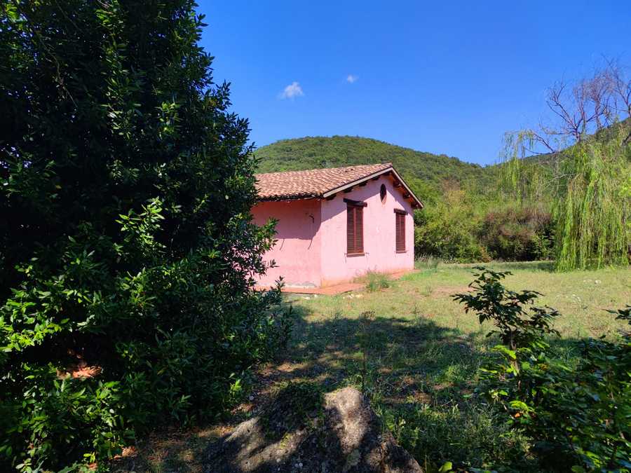 immagine annuncio 11 di 15