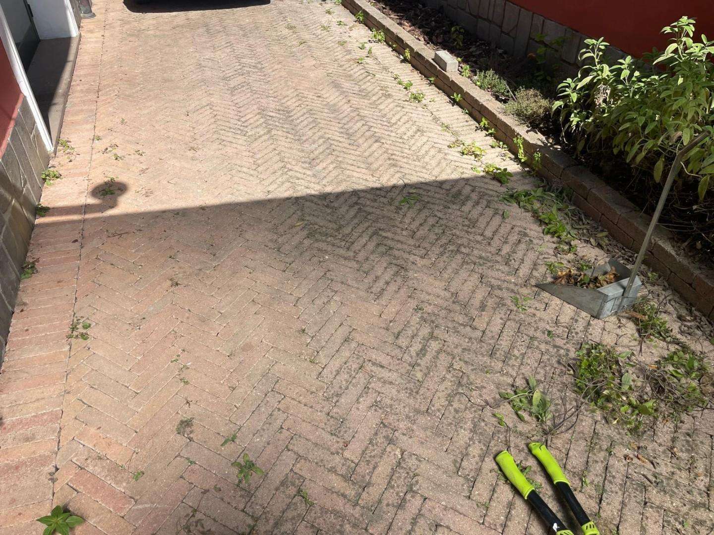  - foto 6